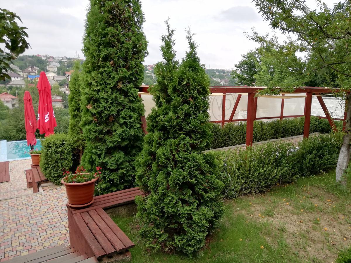 Grace Villa Codru Buitenkant foto