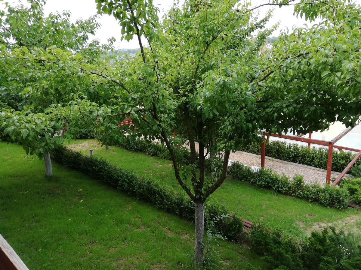 Grace Villa Codru Buitenkant foto